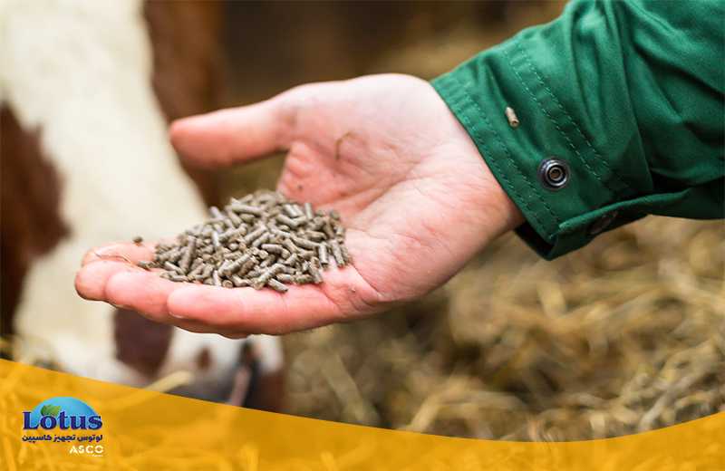 اهمیت فیبر و تاثیر آن در خوراک دام تجهیزات آزمایشگاهی آسکو + آسکو فود + asco food