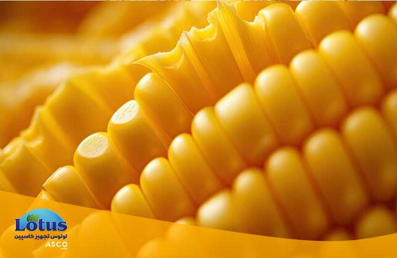 زئین چیست؟ تجهیزات آزمایشگاهی آسکو + آسکو فود + asco food