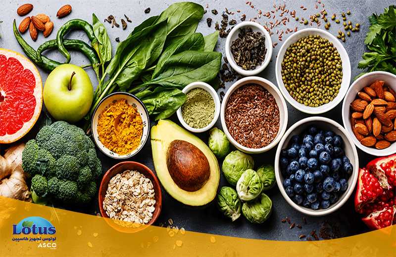 فیبر خام چیست؟ تجهیزات آزمایشگاهی آسکو + آسکو فود + asco food