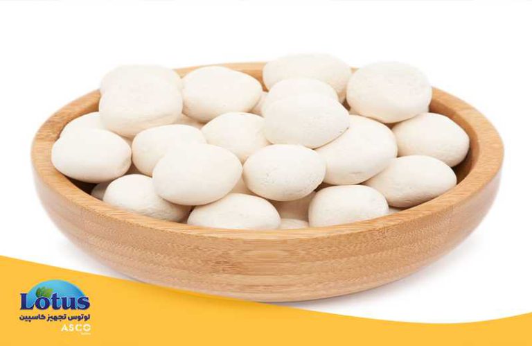 پروتئین کشک چه تاثیری در بدنسازی دارد؟ تجهیزات آزمایشگاهی آسکو + آسکو فود + asco food