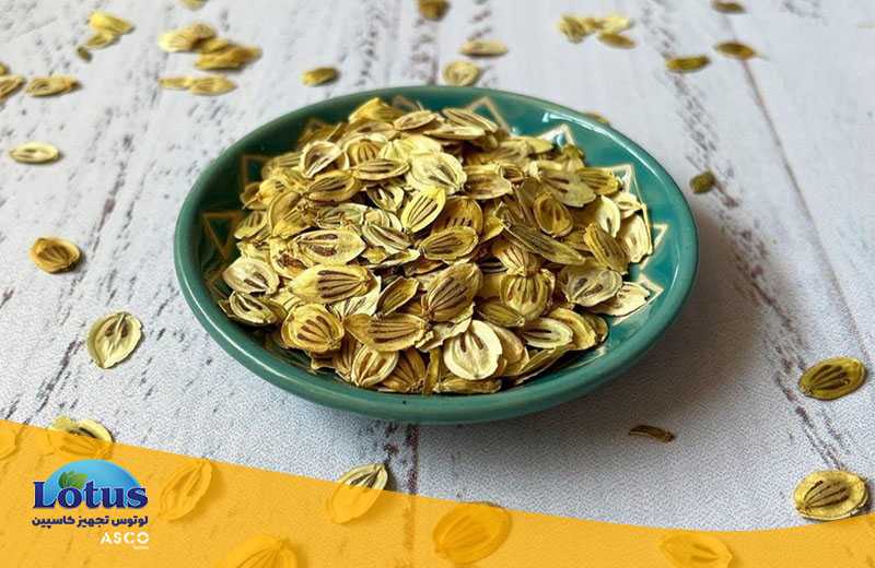 گلپر چیست؟ تجهیزات آزمایشگاهی آسکو + آسکو فود + asco food