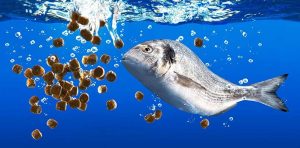 دستگاه آب مقطرگیری آزمایشگاهی آسکو؛ تولید آب خالص برای آنالیزها